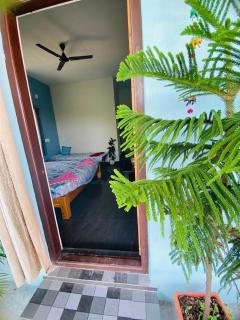 NeemTree Homestay NewHampi - New Hampi - 3
