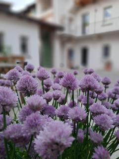 B&B Il Cortile - Soriso - 6