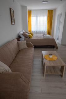 Apartmani Rosica - Ribarska Banja - 1