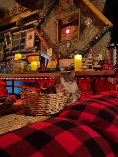 Ke&Ra Guestsroom - 7