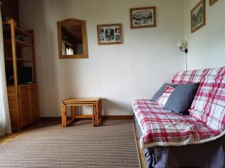 Perle des Alpes - Saint-Gervais-les-Bains - 6
