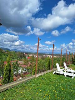 Chalet Tinelu Brașov Săcele - Săcele - 7