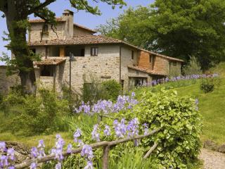 Apartment Villa Grassina-4 by Interhome - Pelago - 5