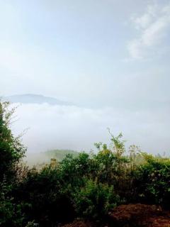 NeelMohar Bellevue 8 - Mahabaleshwar - 6