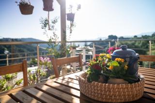 Iris Cretan Mountain Escape -  - 5