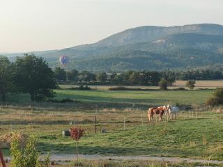 Gite à la ferme - 6