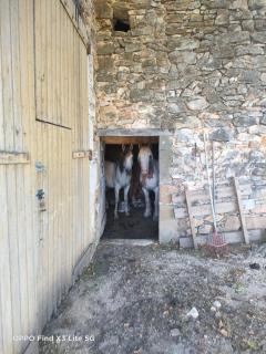 Gite à la ferme - Ongles - 1