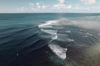 Banyan Harbor Resort - 8