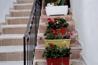 Casa vacanze Libertà - Bisceglie - 8
