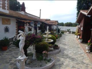 House in the countryside of Rome no3 - Marina di Cerveteri - 4