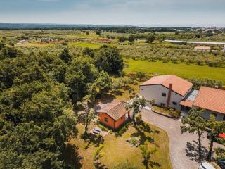 Apartments Olea - Novigrad - 2