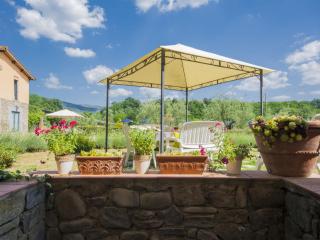 Apartment Azalea by Interhome - Pian di Scò - 4