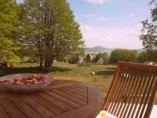 Enchanting chalet amidst impressive nature - Žabljak - 7