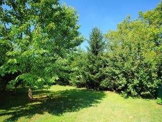 Holiday Home Goliath by Interhome - Balatonszárszó - 8