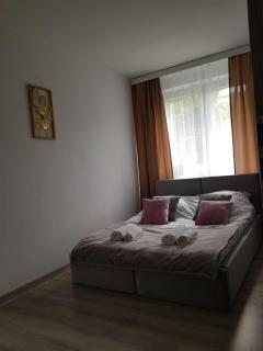 Sunny Boat Apartment - Łódź - 6