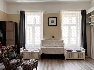 spacious and stylish Jókai apartment - Budapest - 0