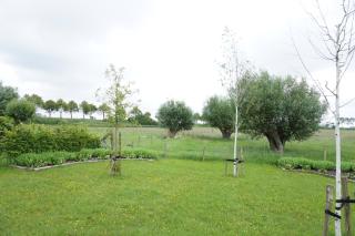 Kustverhuur, 't Uusje Nieuwvliet - Nieuwvliet - 3