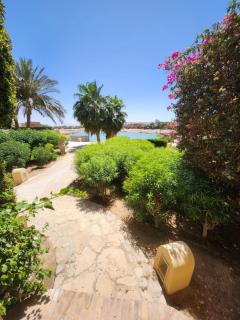 Cozy Spot in the heart of ElGouna - Hurghada - 3
