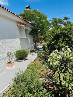 Antheia - Romanós - 2