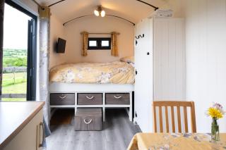 Shepherds hut with hot tub - 1