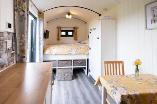 Shepherds hut with valley views - 6