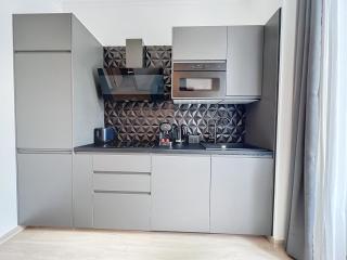 Central Beautifull Delille Flat - Nice - 5