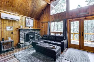 Modern Black Hills Cabin with Loft and Wraparound Deck - Rapid City - 6