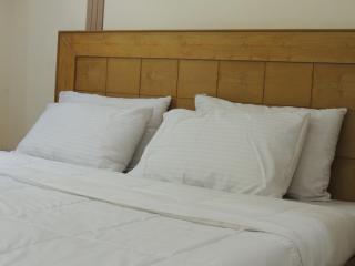 Alpen Hotel Skardu - Skardu - 2