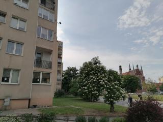 Apartament Toruńska - Gdańsk - 1