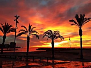 MIRANDO AL MAR - Torrevieja - 6