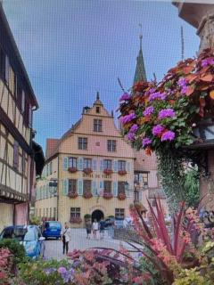 Coquet appartement - Turckheim - 3
