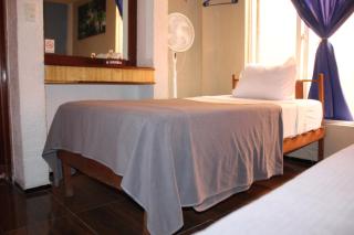 Hotel Los Diamantes - Orizaba - 7