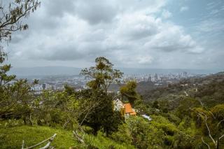 El cedro Ecolodge - Bucaramanga - 4