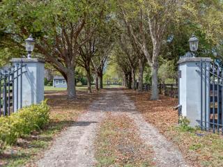 Fluorescent Village - 4