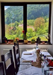 Transylvanian Inn - Bran - 1