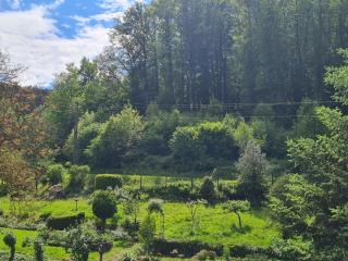 birds-nest Ferienwohnung Waldblick Kamin - Darstein - 4