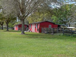 Fluorescent Village - 2