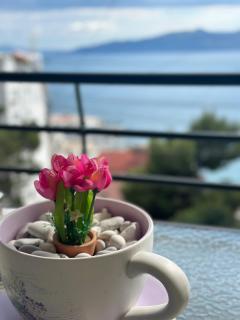 Lovely seaview apartment - 0