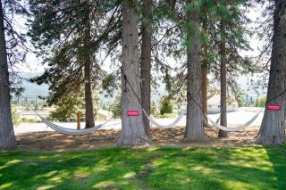 Swiss Holiday Lodge - Mount Shasta - 1