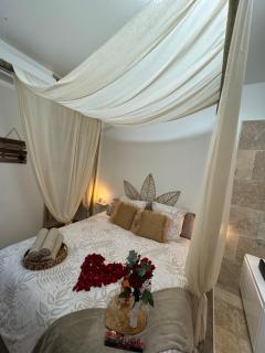 l'Idylle - Coeur de Bastide - balnéo - Clim - Carcassonne - 3