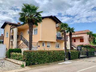 Apartments Kivi - 0