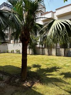 Ashirvad Homestay Varanasi - Varanasi - 6