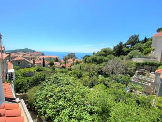 Bonaca apartment and rooms - 0