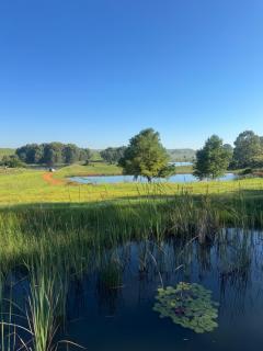 Renanda - Dullstroom - 5