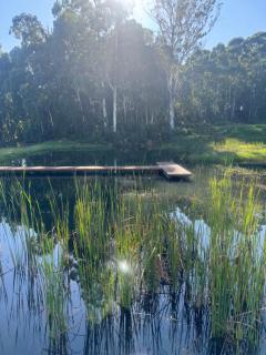 Renanda - Dullstroom - 1
