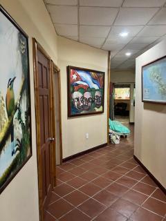 Casa Manglar Villa - Puerto Jiménez - 6