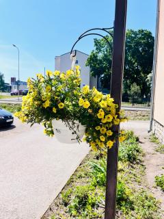 TallinnHousing Studio for 4 with free parking - Tallinn - 0