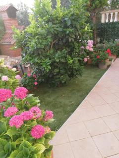 Apartment Pavin - Poljana - 5