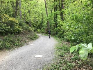 Schwarzwald Glück - 2