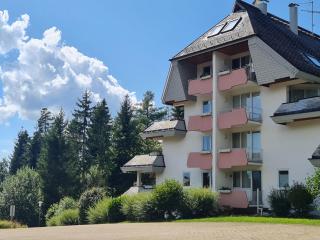 Schwarzwald Top Apartment - Lenzkirch - 8